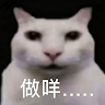 俞荃